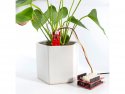 Capacitive soil moisture meter - Crowtail - Elecrow